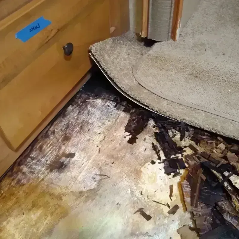 Wood Floor Water Damage in City of Lynchburg, VA